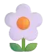 Daffodils