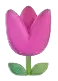 Tulip