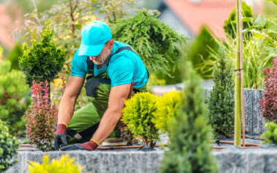 Top Questions to Ask Before Hiring a Landscaping Company in Montgomery County