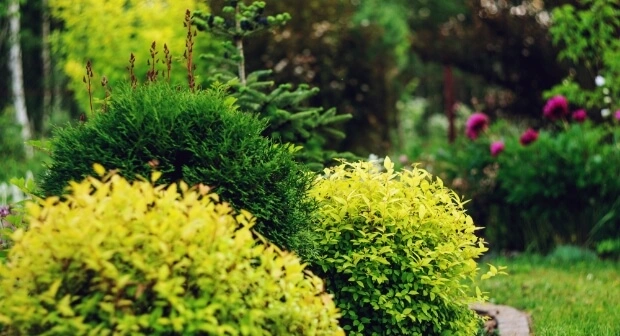 plant-nursery-01