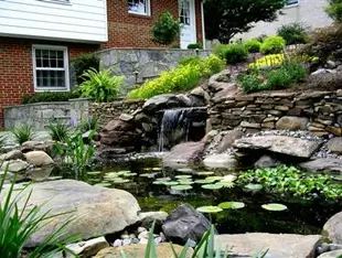pond