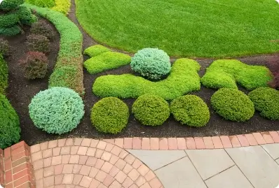 service-area-softscaping